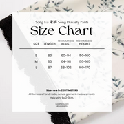 Wen Xueshe 文学社 Literary Society Modernized Ming Song Dynasty Bijia Vest & Songku Pants Set