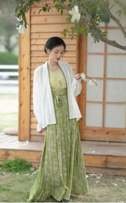 Xuqu 序曲 Prelude Melody Modernized Song Dynasty Three Panel Skirt Ruqun Set