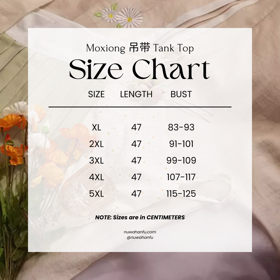 Xiao Chuju 小雏菊 Little Daisies Modernized Song Dynasty Plus Size Cotton Beizi Baidiequn Ruqun Set