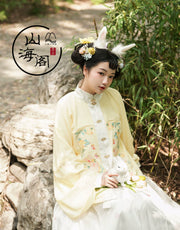 Lei Si 蕾丝 Lacy Bunny Ming Dynasty Plus Size Liling Pipa Sleeve Mamian Aoqun Set