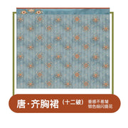 Chang'An 长安 Tang Dynasty Embroidered Hezi Restoration Qixiong Ruqun Set