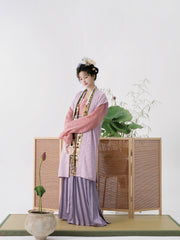 Serenade of Peaceful Joy 清平乐 Northern Song Dynasty Brocade Trim Changshan Top Bijia Vest & Baidiequn Skirt Set