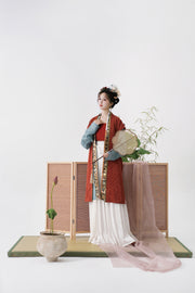 Serenade of Peaceful Joy 清平乐 Northern Song Dynasty Brocade Trim Changshan Top Bijia Vest & Baidiequn Skirt Set