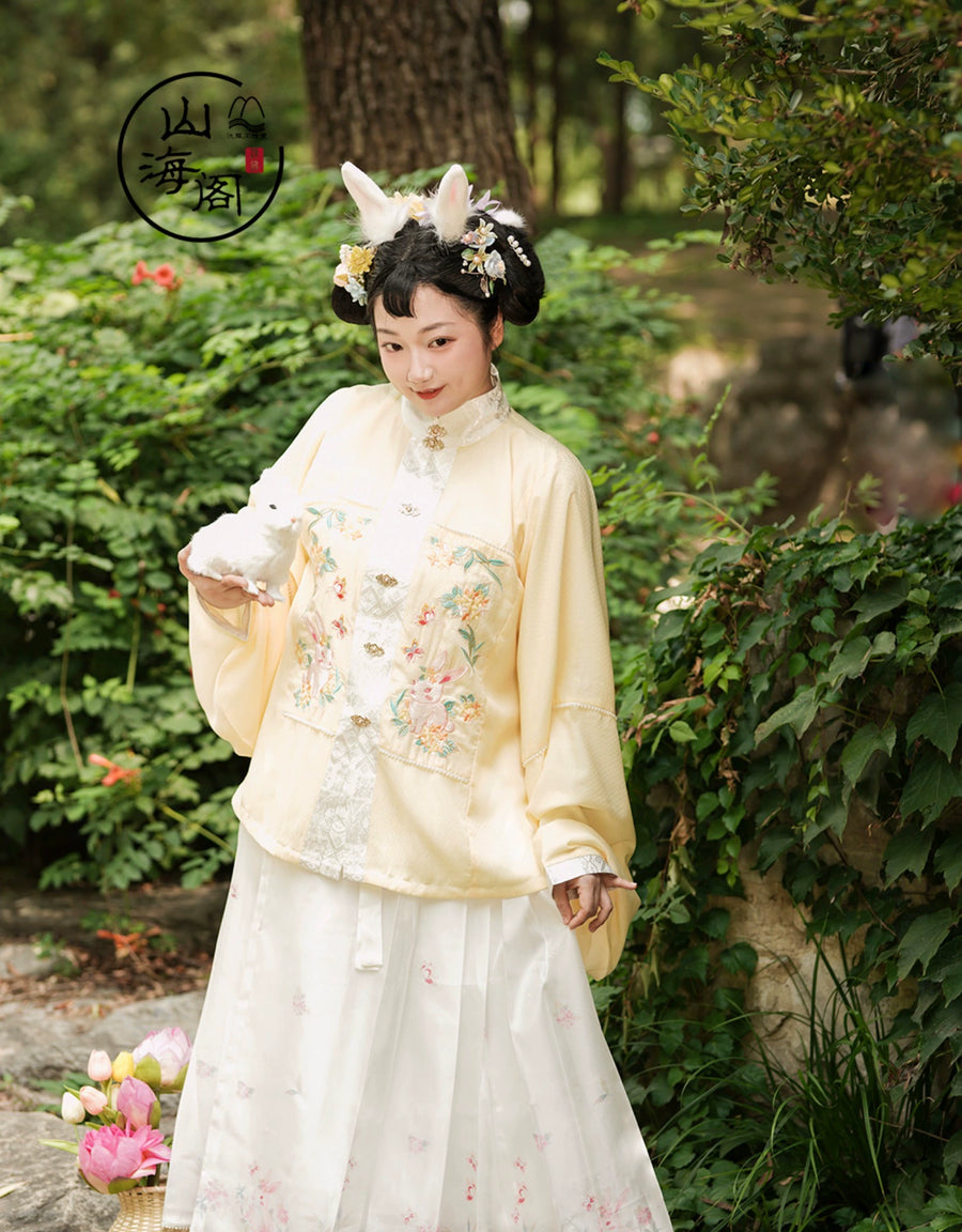 Lei Si 蕾丝 Lacy Bunny Ming Dynasty Plus Size Liling Pipa Sleeve Mamian Aoqun Set