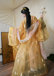 Qi Guang 齐光 Rising Light Fantasy Han Dynasty Golden Zhiju Straight Hem Robe