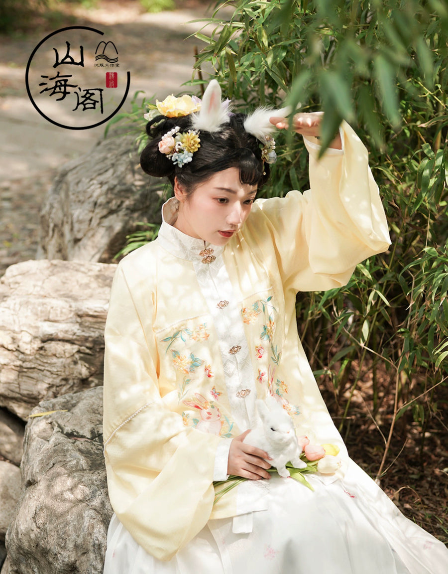 Lei Si 蕾丝 Lacy Bunny Ming Dynasty Plus Size Liling Pipa Sleeve Mamian Aoqun Set