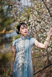 Susie Q 苏西Q 1930s Ombré Stripe Spring Summer Cap Sleeve Qipao