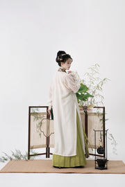 Serenade of Peaceful Joy 清平乐 Northern Song Dynasty Brocade Trim Changshan Top Bijia Vest & Baidiequn Skirt Set