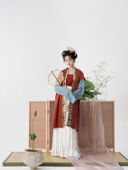 Serenade of Peaceful Joy 清平乐 Northern Song Dynasty Brocade Trim Changshan Top Bijia Vest & Baidiequn Skirt Set