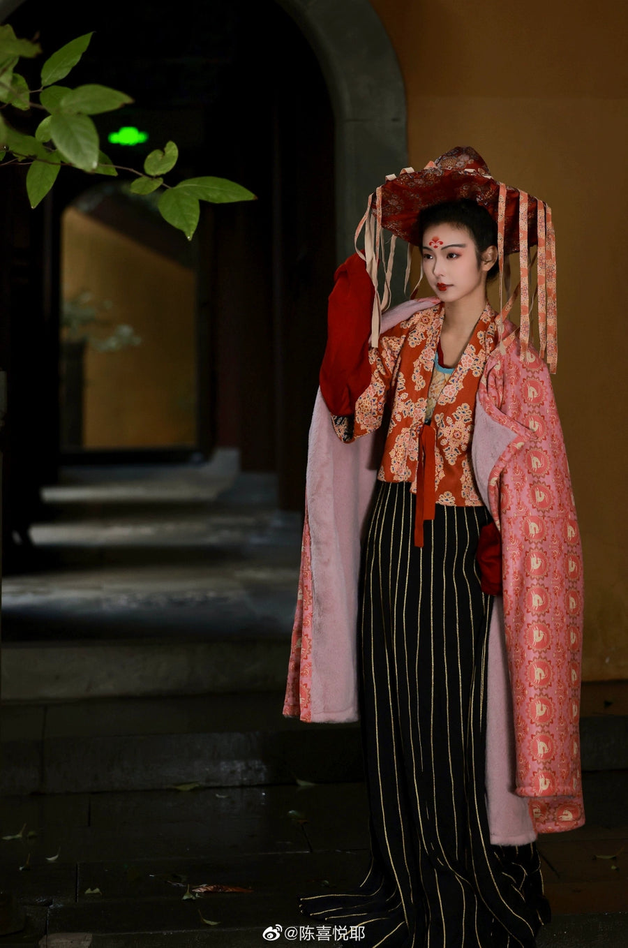 Zhijin Weimao 织锦帷帽 Wu Zhou Brocade Veiled Hat