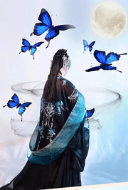 Black Peony 黑牡丹 Modernized Tang Dynasty Dark Fairy Heziqun Set