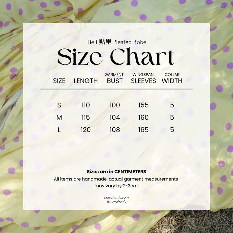 Nuan Nuan 暖暖 Cozy Modernized Ming Dynasty Floral Tieli & Baidiequn Set