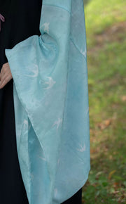 Luoyan Qi 落燕栖 A Swallow's Perch Late Ming Dynasty Swallow Changshan Long Shirt & Summer Bijia Vest Set