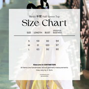 Zhu Zi 朱紫 Scarlet Wisteria Modernized Sui & Northern Southern Dynasty Guiyi Swallow Tail Ruqun Set