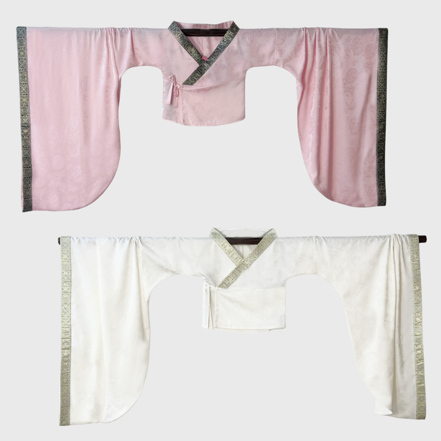 Qingbei Xu 倾杯序 Prelude to the Tilting Cup Sui & Northern Southern Dynasty Guiyi Swallow Tail Ruqun Set