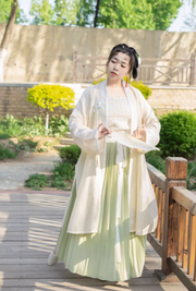 Xiao Chuju 小雏菊 Little Daisies Modernized Song Dynasty Plus Size Cotton Beizi Baidiequn Ruqun Set