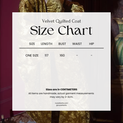 Liu Qi 鎏绮 Flowing Gold New Chinese Style Velvet Dress & Shawl Coat Set