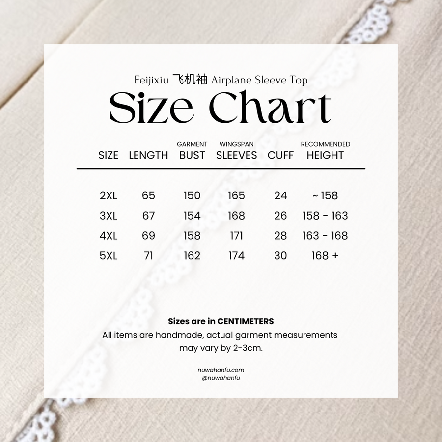 Chun Sheng 春笙 Spring Flute Modernized Song Dynasty Plus Size Beizi Top & Songku Pants Set