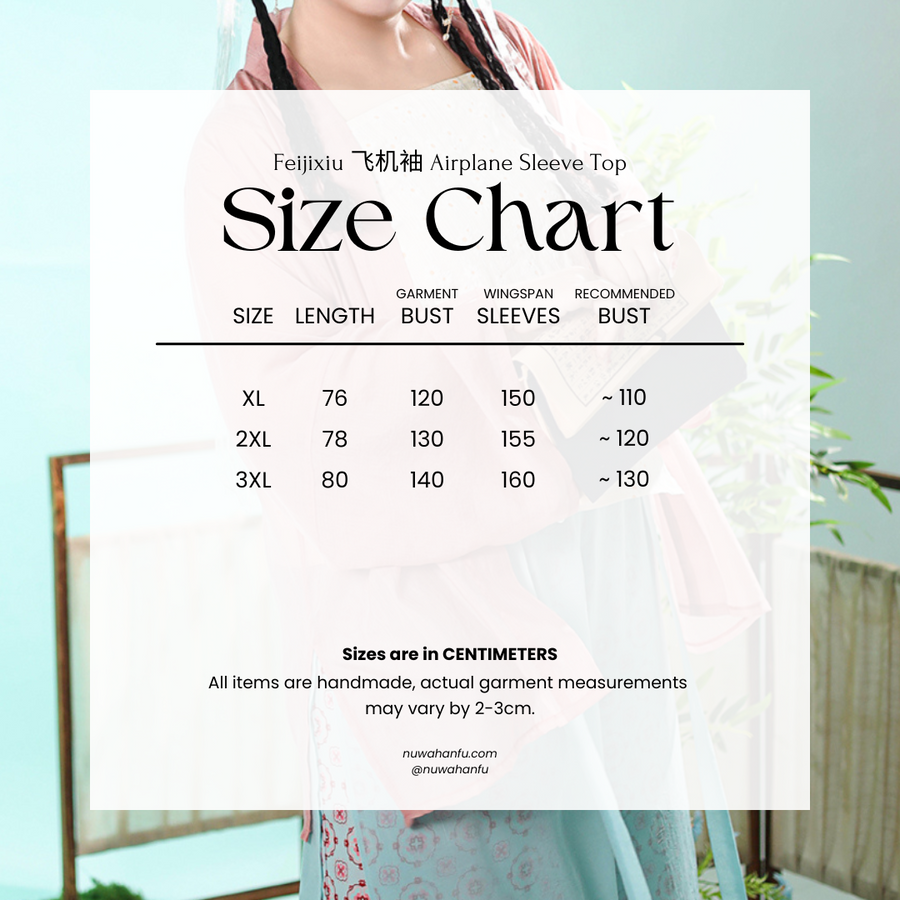 Chun Sheng 春笙 Spring Flute Modernized Song Dynasty Plus Size Beizi Top & Songku Pants Set