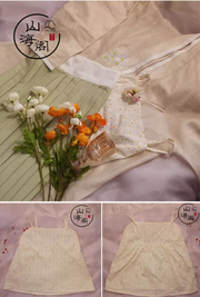 Xiao Chuju 小雏菊 Little Daisies Modernized Song Dynasty Plus Size Cotton Beizi Baidiequn Ruqun Set
