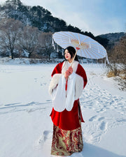 Li Luo 梨落 Pear Blossom Ming Dynasty Plus Size Pifeng Faux Fur Coat & Changshan Long Top Set