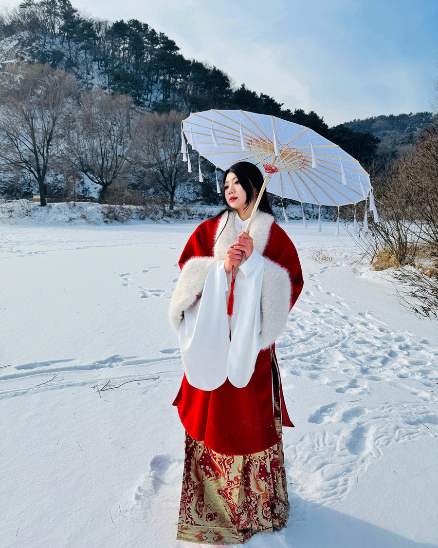 Li Luo 梨落 Pear Blossom Ming Dynasty Plus Size Pifeng Faux Fur Coat & Changshan Long Top Set