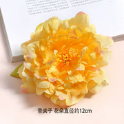 Juan Hua 绢花 Silk Flower Variety Hair Clips
