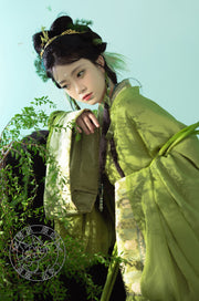 Yu Ying 遇萤 Encountering a Firefly Modernized Warring States Zhiju Straight Hem Robe Set