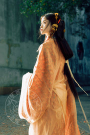 Jiangmen 江门 Han Dynasty Mawang Tomb Restoration Quju Curved Hem Robe Set