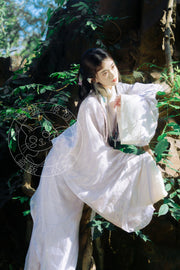 Jiangmen 江门 Han Dynasty Mawang Tomb Restoration Quju Curved Hem Robe Set