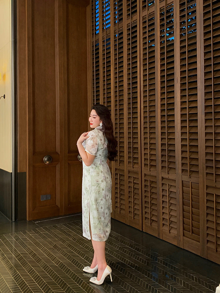 Hujiao Bohe 胡椒薄荷 Peppermint Plus Size Modernized Sheer Lace Short Sleeve Qipao