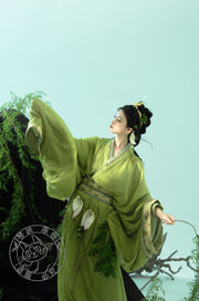 Yu Ying 遇萤 Encountering a Firefly Modernized Warring States Zhiju Straight Hem Robe Set
