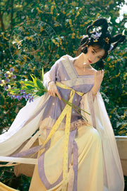 Zhu Zi 朱紫 Scarlet Wisteria Modernized Sui & Northern Southern Dynasty Guiyi Swallow Tail Ruqun Set