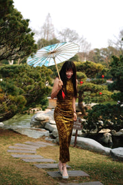 Liu Qi 鎏绮 Flowing Gold New Chinese Style Velvet Dress & Shawl Coat Set