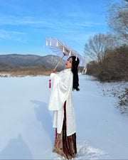 Li Luo 梨落 Pear Blossom Ming Dynasty Plus Size Pifeng Faux Fur Coat & Changshan Long Top Set