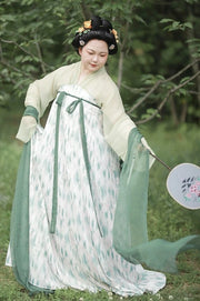 Luwu 绿芜 Shrouded Ivy Tang Dynasty Plus Size Summer Qixiong Ruqun Set