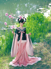Qingbei Xu 倾杯序 Prelude to the Tilting Cup Sui & Northern Southern Dynasty Guiyi Swallow Tail Ruqun Set