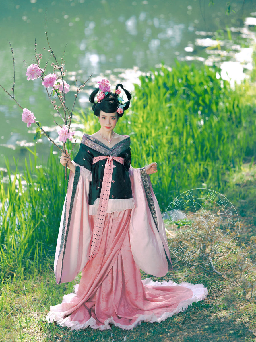 Qingbei Xu 倾杯序 Prelude to the Tilting Cup Sui & Northern Southern Dynasty Guiyi Swallow Tail Ruqun Set