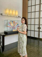 Hujiao Bohe 胡椒薄荷 Peppermint Plus Size Modernized Sheer Lace Short Sleeve Qipao