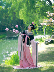 Qingbei Xu 倾杯序 Prelude to the Tilting Cup Sui & Northern Southern Dynasty Guiyi Swallow Tail Ruqun Set